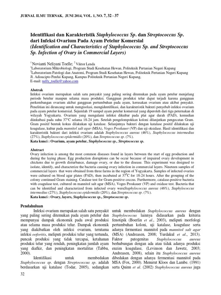 Jurnal Bakteri Staphylococcus sp