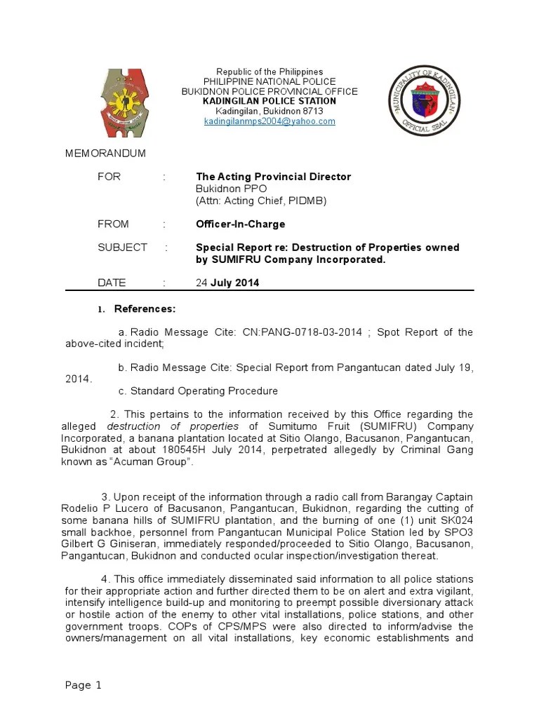 Sample Special Reportplain Memo Security Guard Crimes