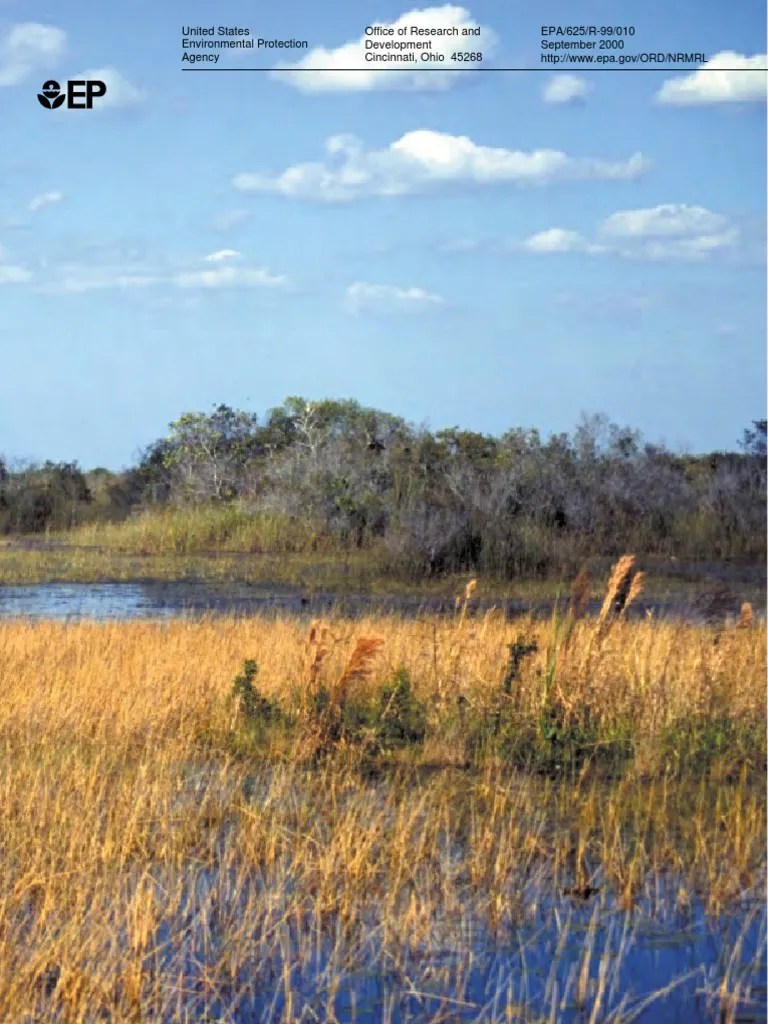 Constructed Wetlands Design Manual Wetland Sewage Treatment
