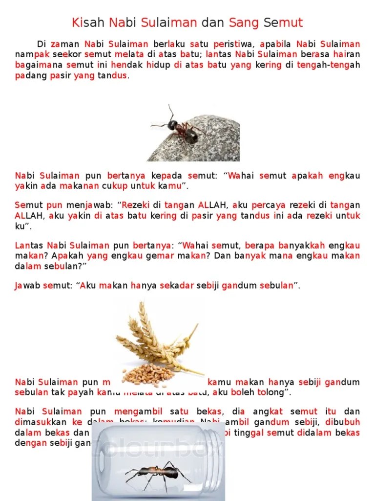 Kisah Nabi Sulaiman Dan Sang Semut | PDF