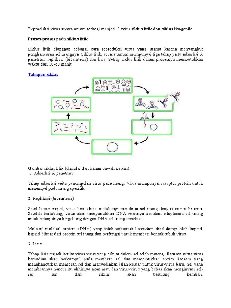 Litik Dan Lisogenik | PDF