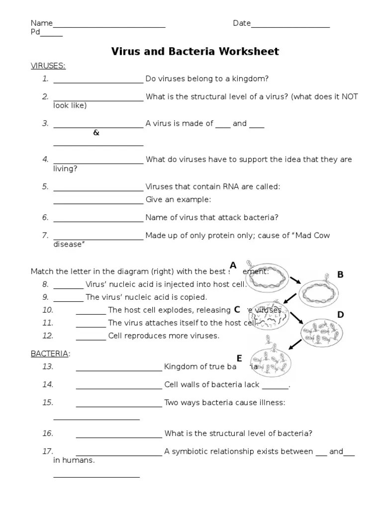 Virus and Bacteria Worksheet