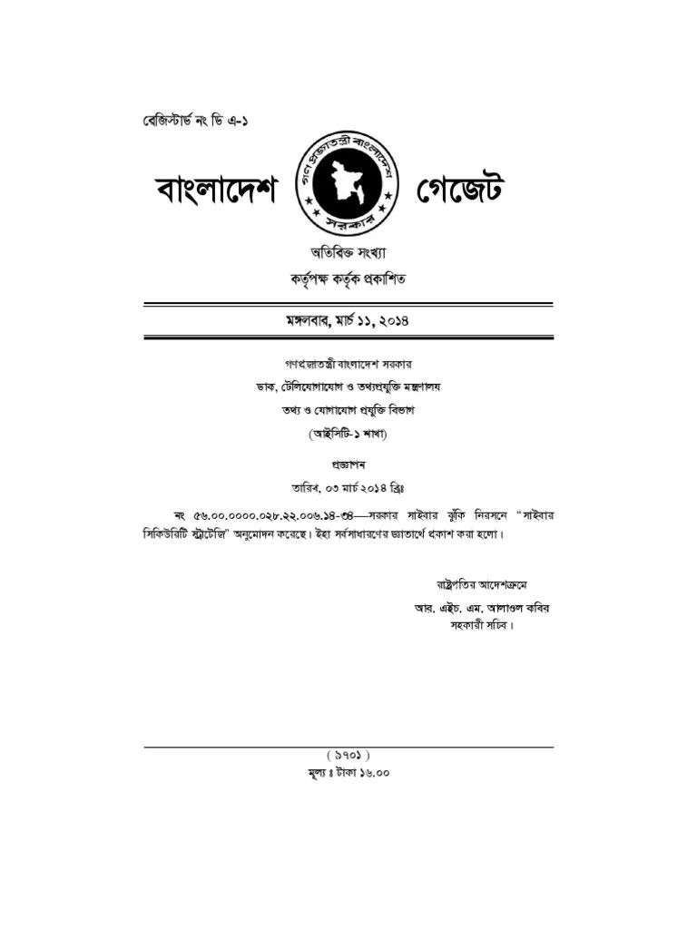 Cyber Security Stretegy.pdf Vulnerabilidad (Informática) Seguridad