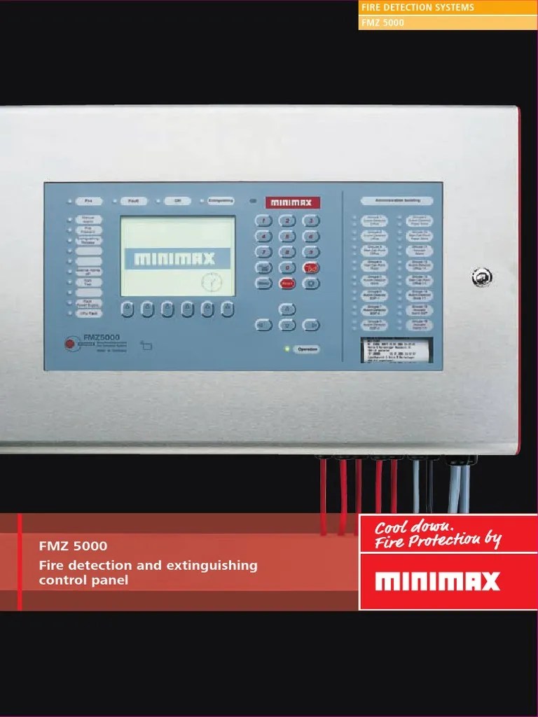 _P50Fe_FMZ5000 Detector (Radio) Input/Output