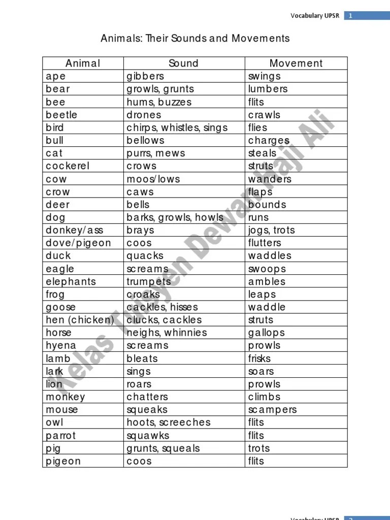 Animals Sounds and Movement