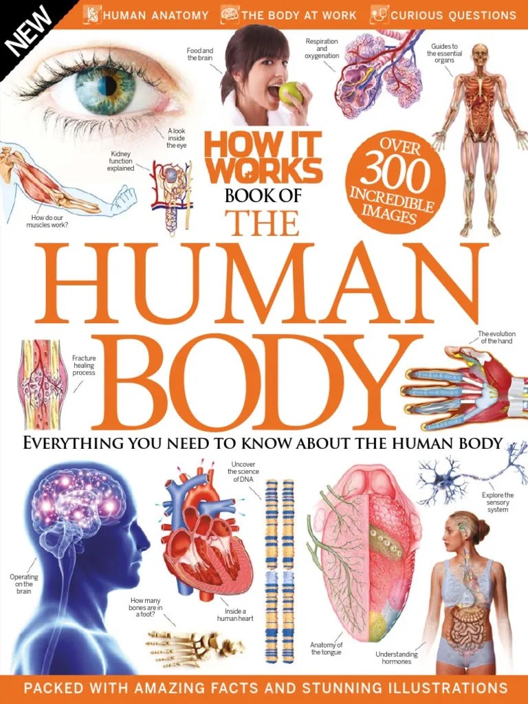 How It Works. Book of the Human Body 3rd Revised Edition 2015 Cell