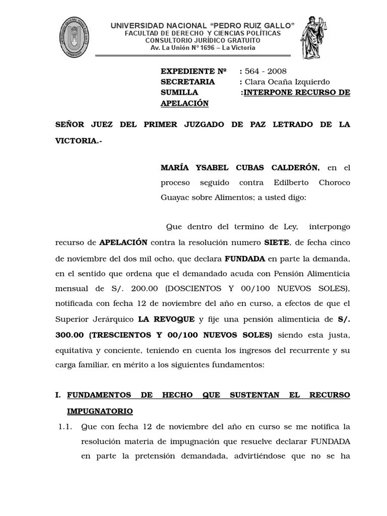 Apelacion de Alimentos Demanda judicial Gobierno