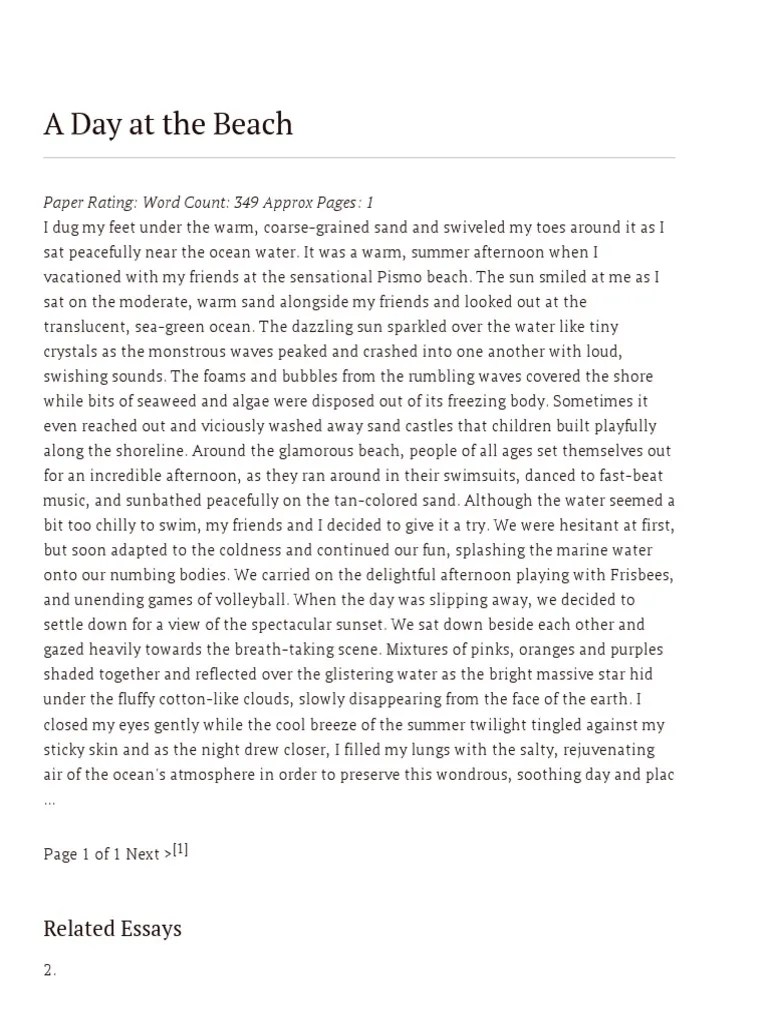 A Day at the Beach Essay Oceanography Earth & Life Sciences