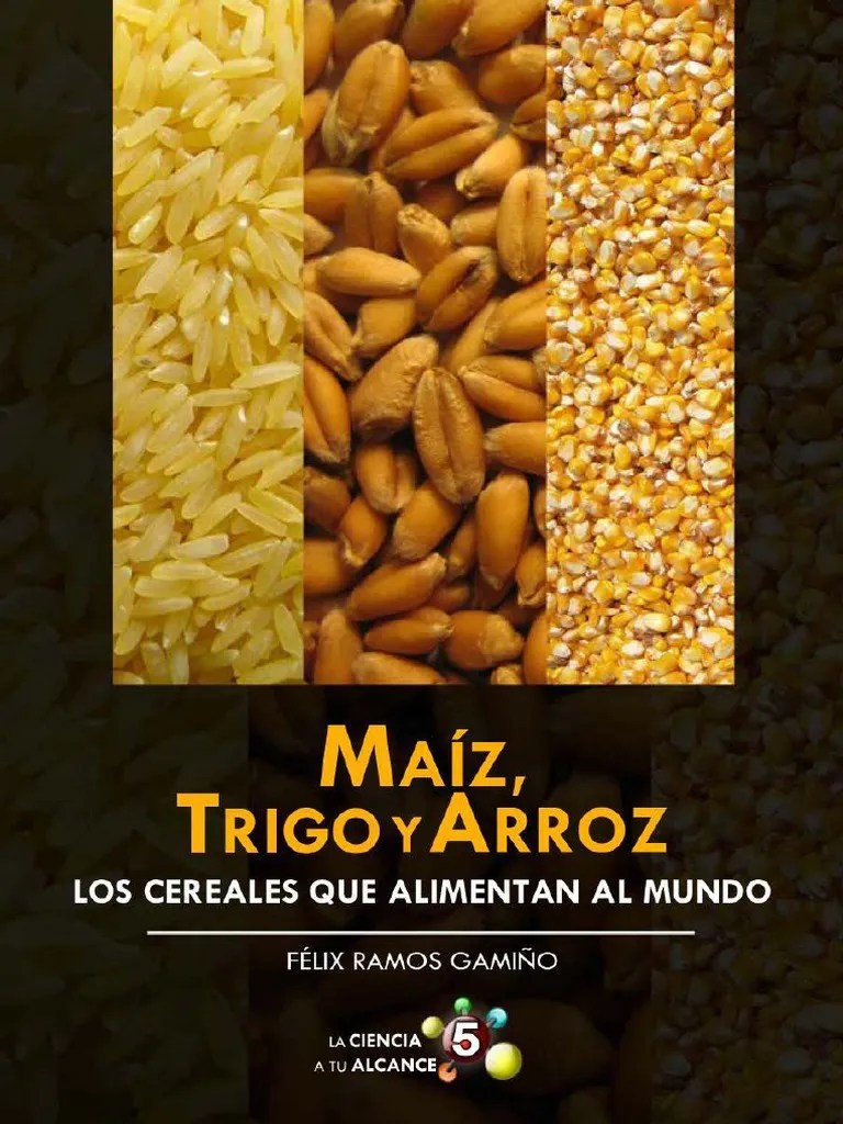 Maíz, trigo y arroz Hambruna Cereales