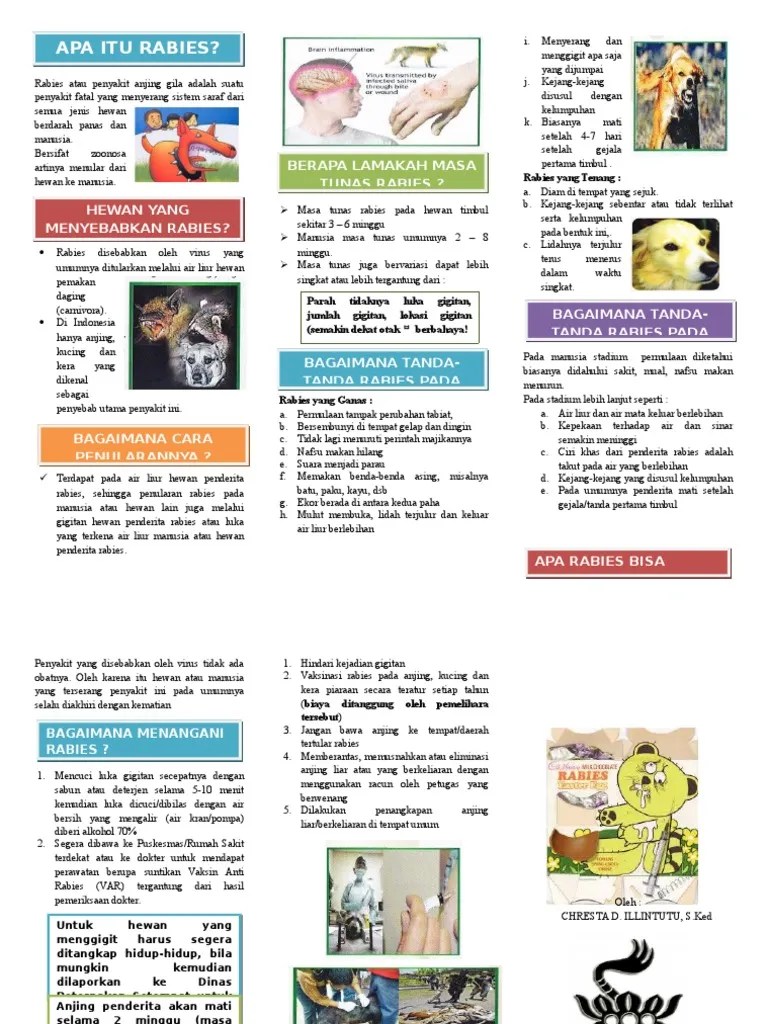 Leaflet Rabies | PDF