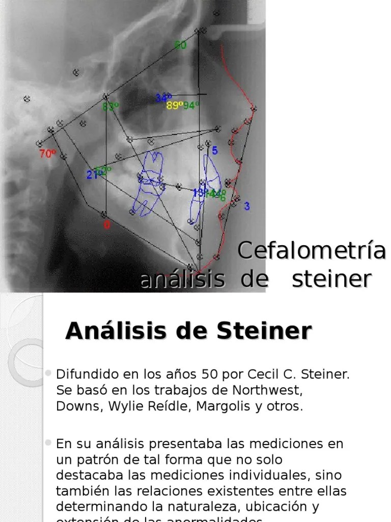 Cefalometria Steiner Anatomía de los primates Anatomía humana