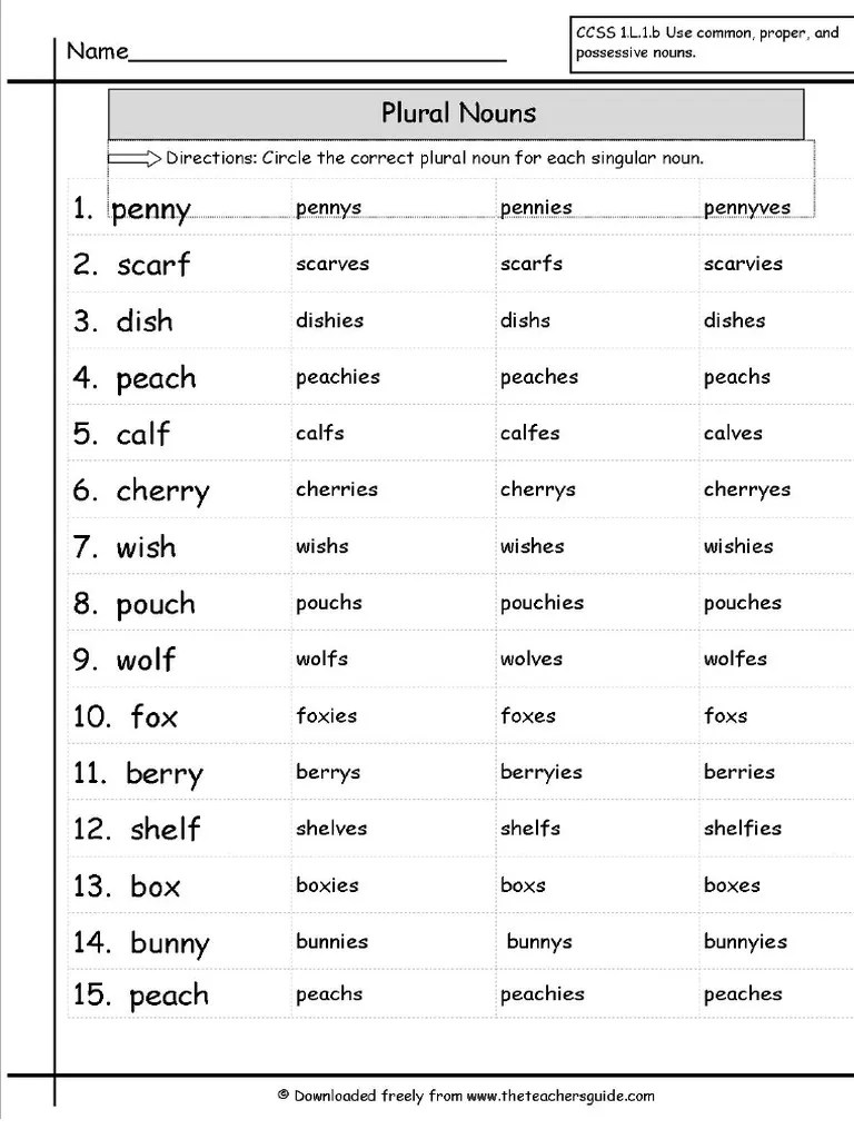 Plural Nouns PDF