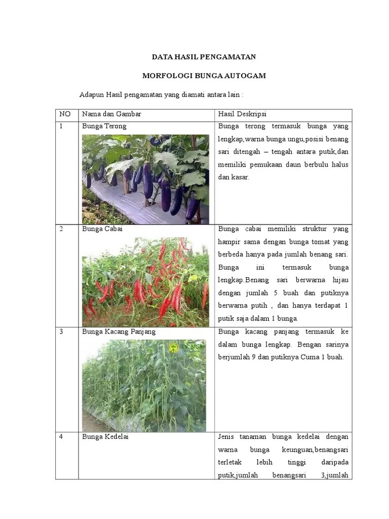 Data Hasil Pengamatan | PDF