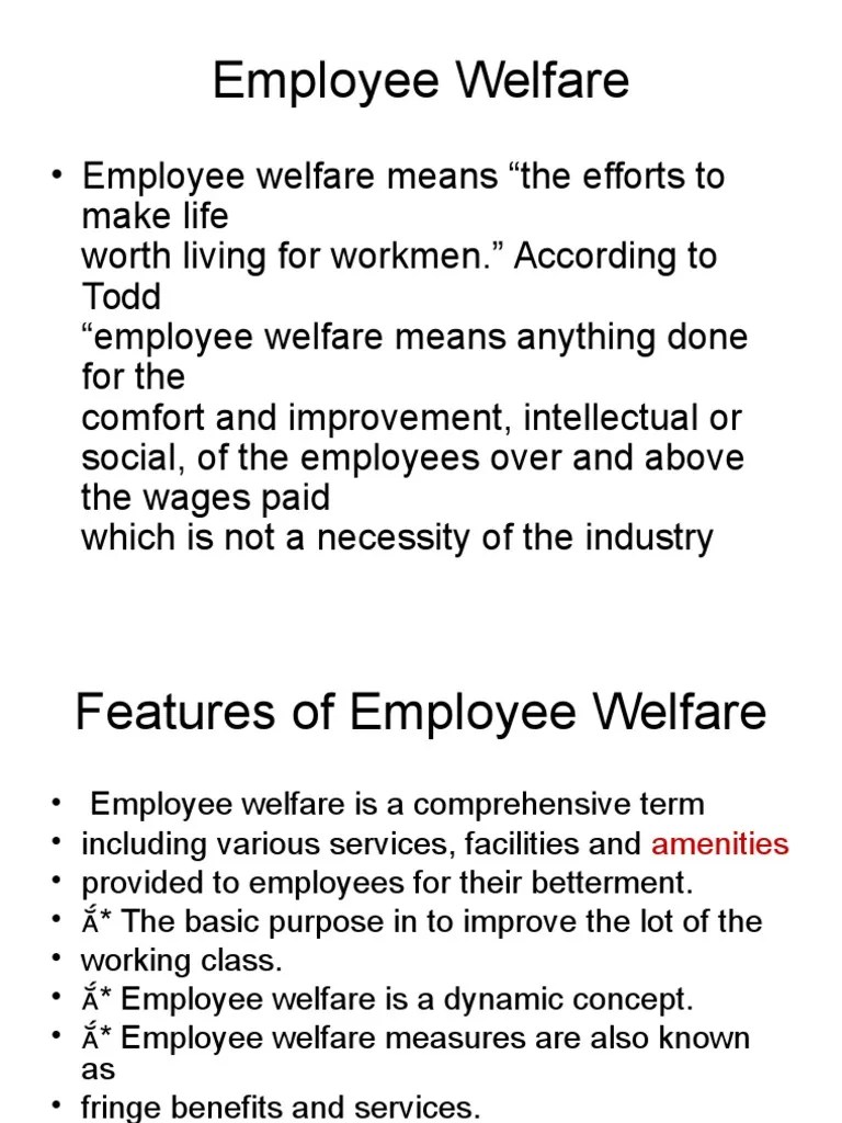 Employee Welfare PDF Welfare Employment