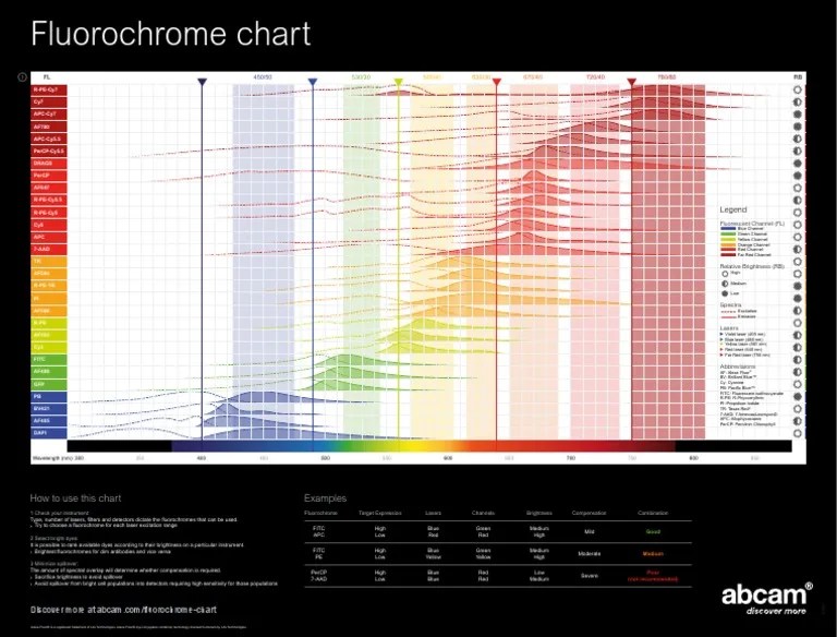 Abcam Fluorochrome Chart PDF Fluorophore Fluorescence