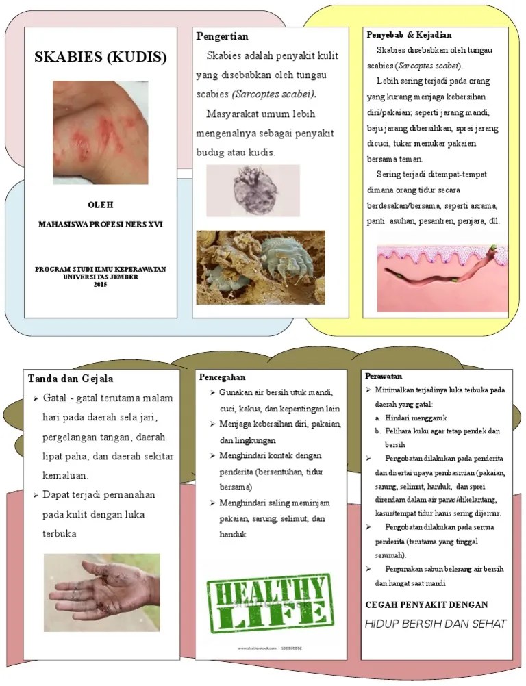 Leaflet Skabies 1 | PDF