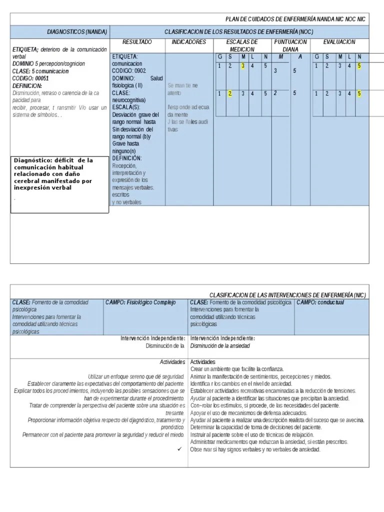 Plan de Cuidados de Enfermería Nanda Nic Noc Nic
