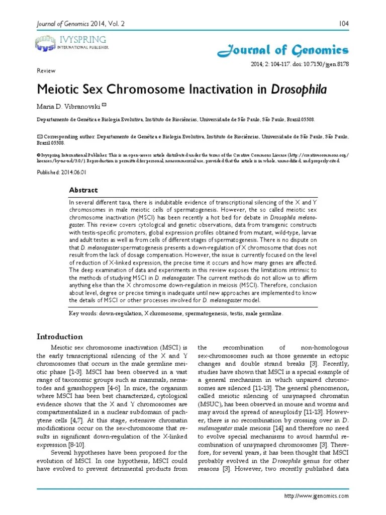 Jurnal Meiosis Internasional Meiosis Drosophila Melanogaster