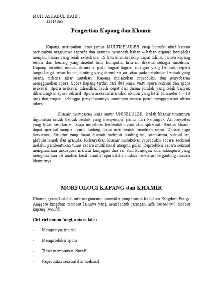 Pengertian Kapang Dan Khamir | PDF