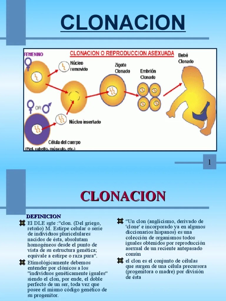 3 CLONACION Clonación Reproducción