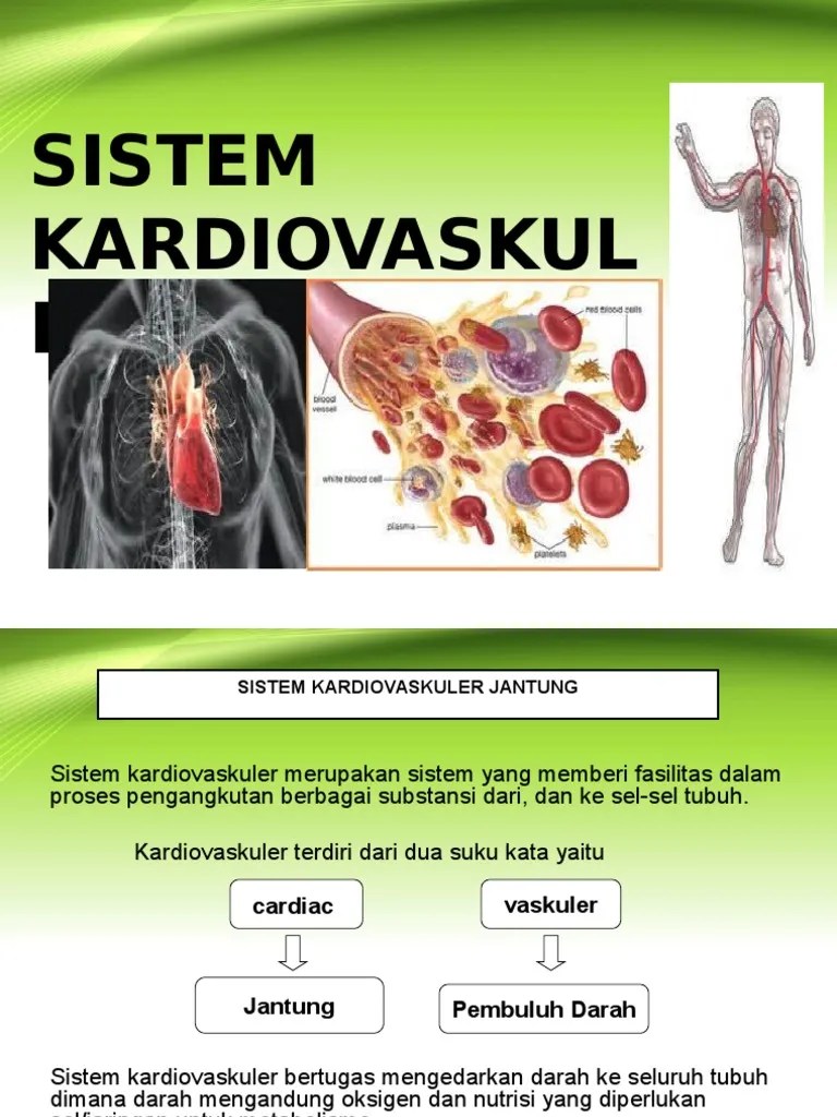 Sistem Kardiovaskuler