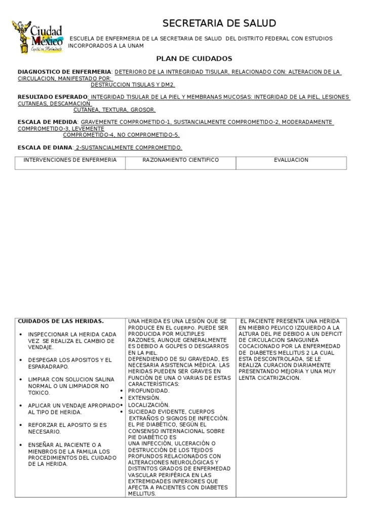 Diagnosticos de Enfermeria Pie Diabetico