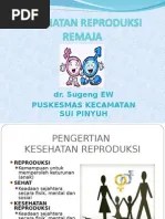 Hidup Sehat: Kesehatan Reproduksi Wanita Dewasa Ppt