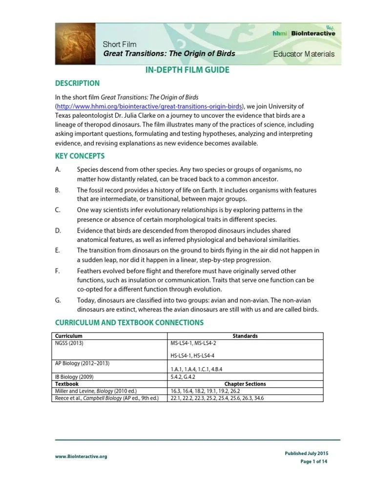 Great Transitions The Origin Of Birds Worksheet Answers 45+ Pages