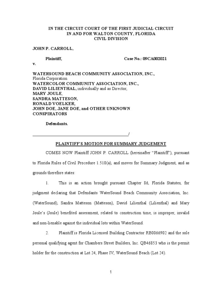 Summary Judgement on Declaratory Judgement Summary Judgment By Law