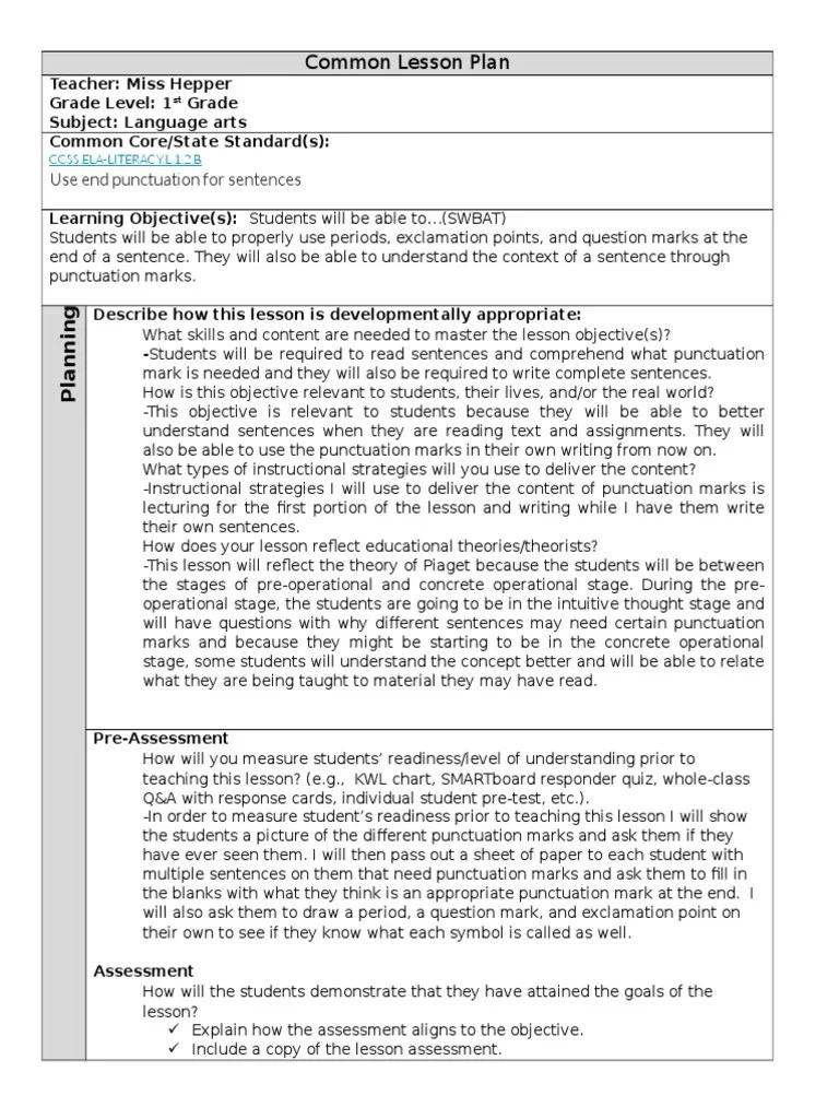 Punctuation Mark Lesson Plan PDF Lesson Plan Educational Assessment