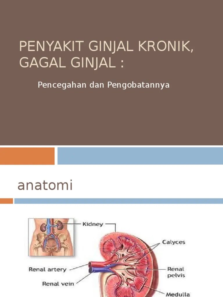 PENYAKIT GINJAL KRONIK,.ppt