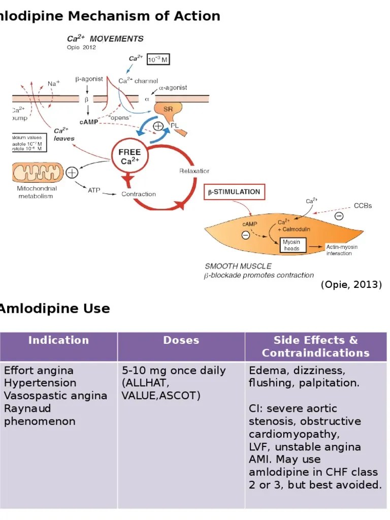 Amlodipine Mechanism of Action, Indications, Dosing, Side Effects, and