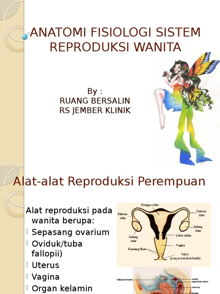 Ppt Anatomi Fisiologi Sistem Reproduksi Wanita