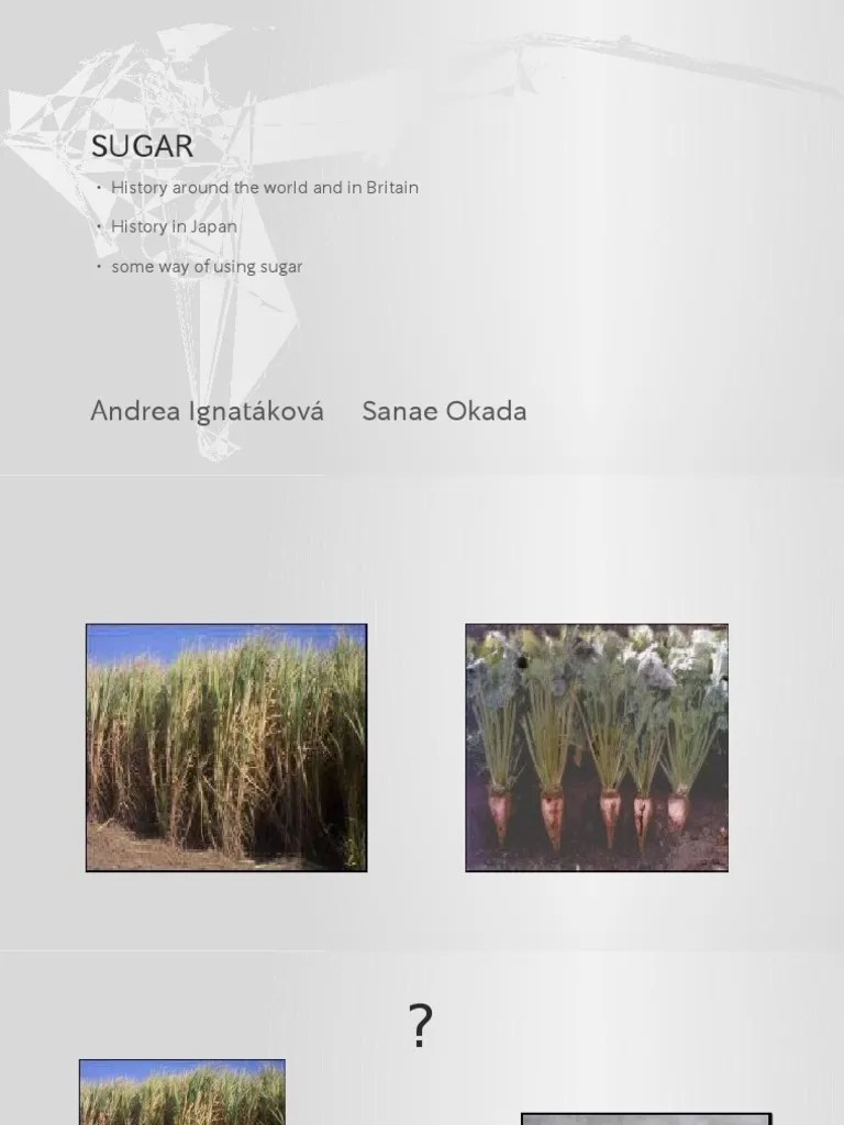 A Global History of Sugar Tracing its Origins, Spread, and Uses Around