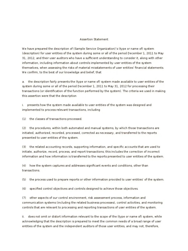 Assertion Statement Sample PDF Audit Business Process