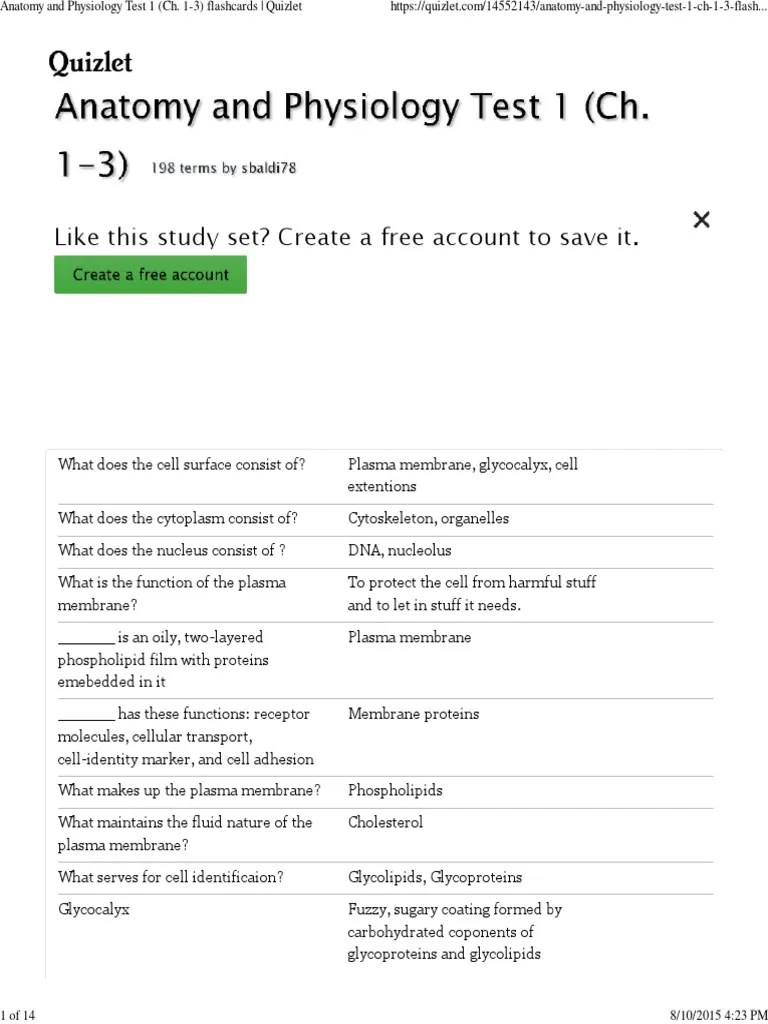 Anatomy And Physiology Exam 1 PetsWall