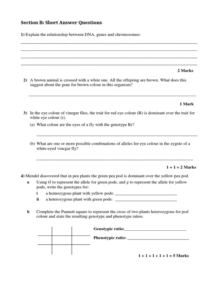 Class Test 3011 Zygosity Allele