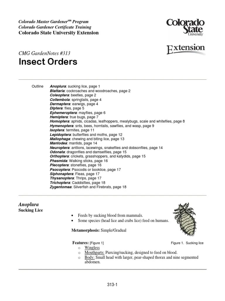 Insect Orders CMG Gardennotes 313 PDF Beetle Fly