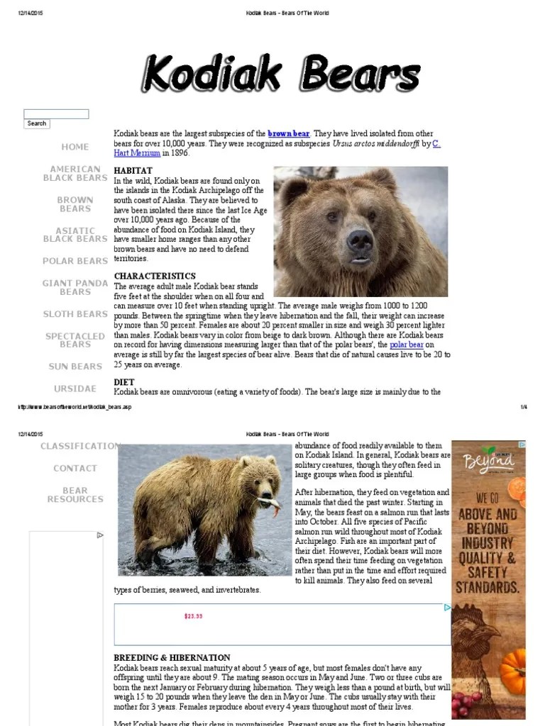 Kodiak Bears Bears of the World Bears Predators