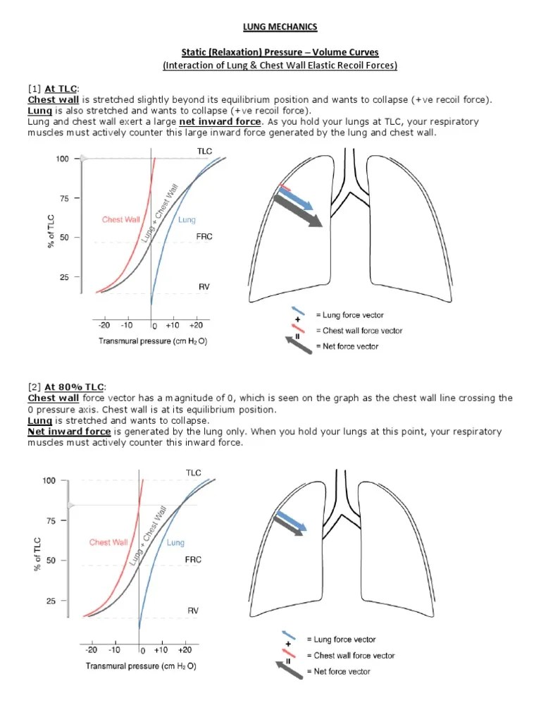 (Interaction of Lung & Chest Wall Elastic Recoil Forces) Static
