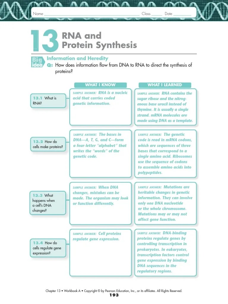 Ch 13 RNA and Protein Synthesis Rna Translation (Biology)