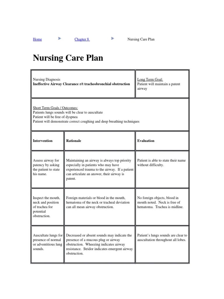 Sample Nursing Care Plans Intravenous Therapy Breathing