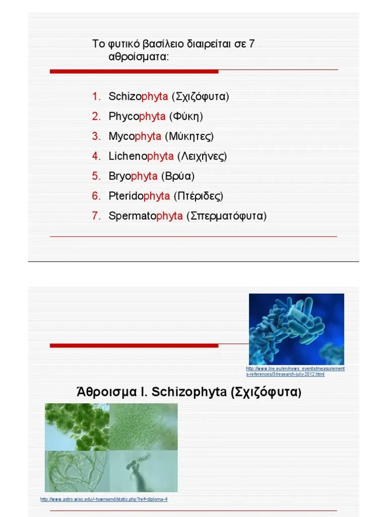 Schizophyta Phycophyta Mycophyta Lichenophyta Bryophyta 2014 2015 | PDF