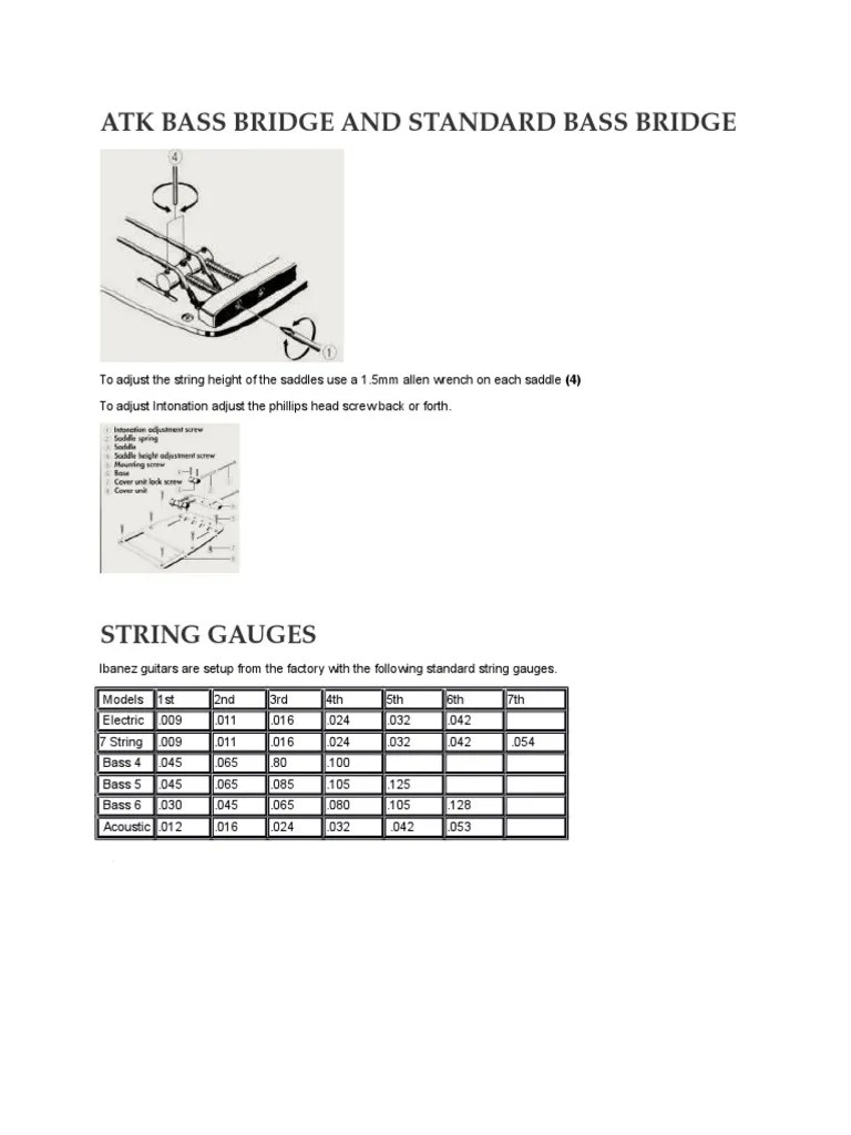 Atk Bass Bridge Set Up Review PDF Bass Guitar Guitars
