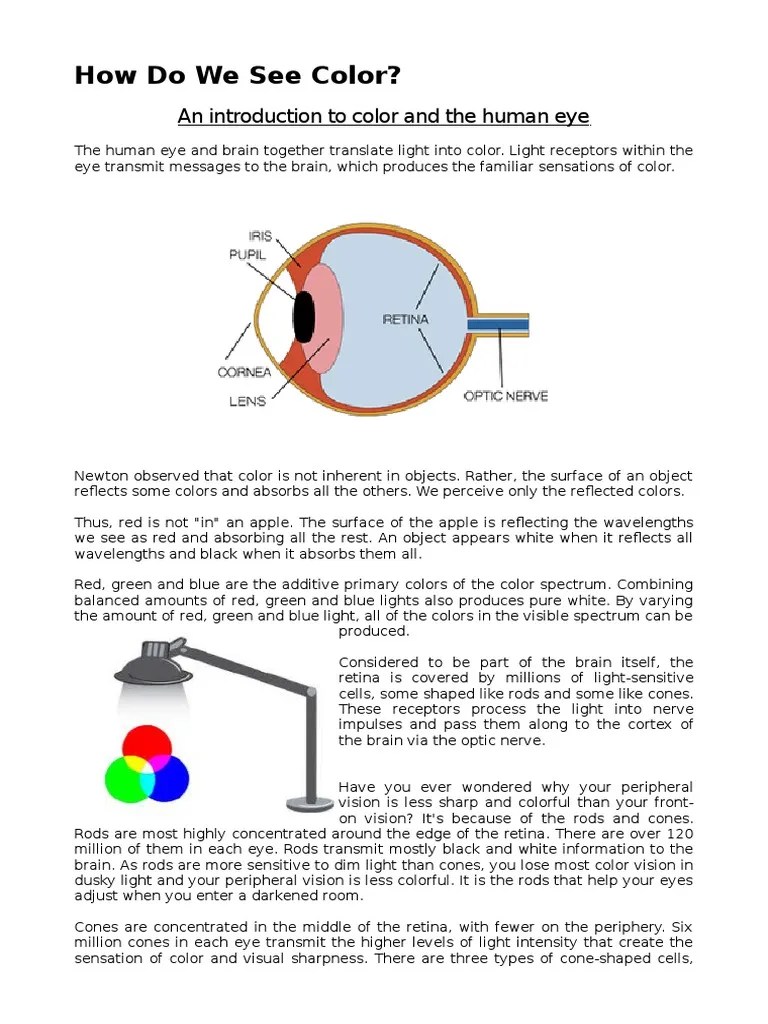 How Do We See Color Eye Color