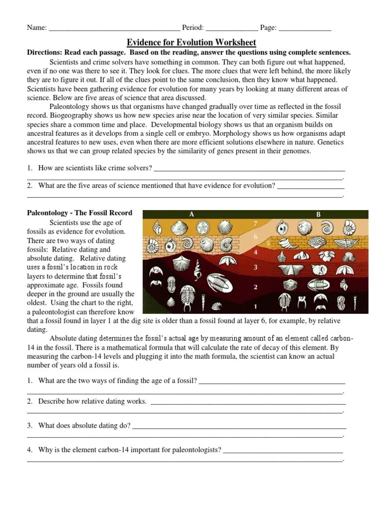 Evidence For Evolution Worksheet Evolution Fossil