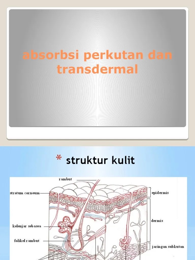 Absorbsi Perkutan | PDF