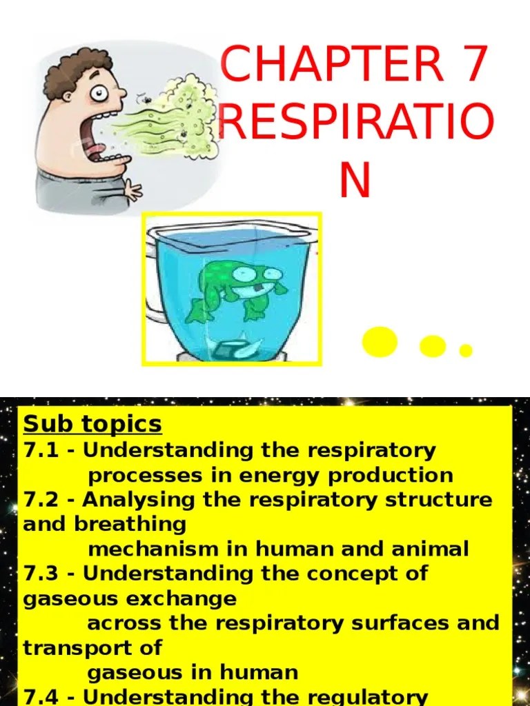 chapter 7 form 4.ppt Respiratory System Cellular Respiration