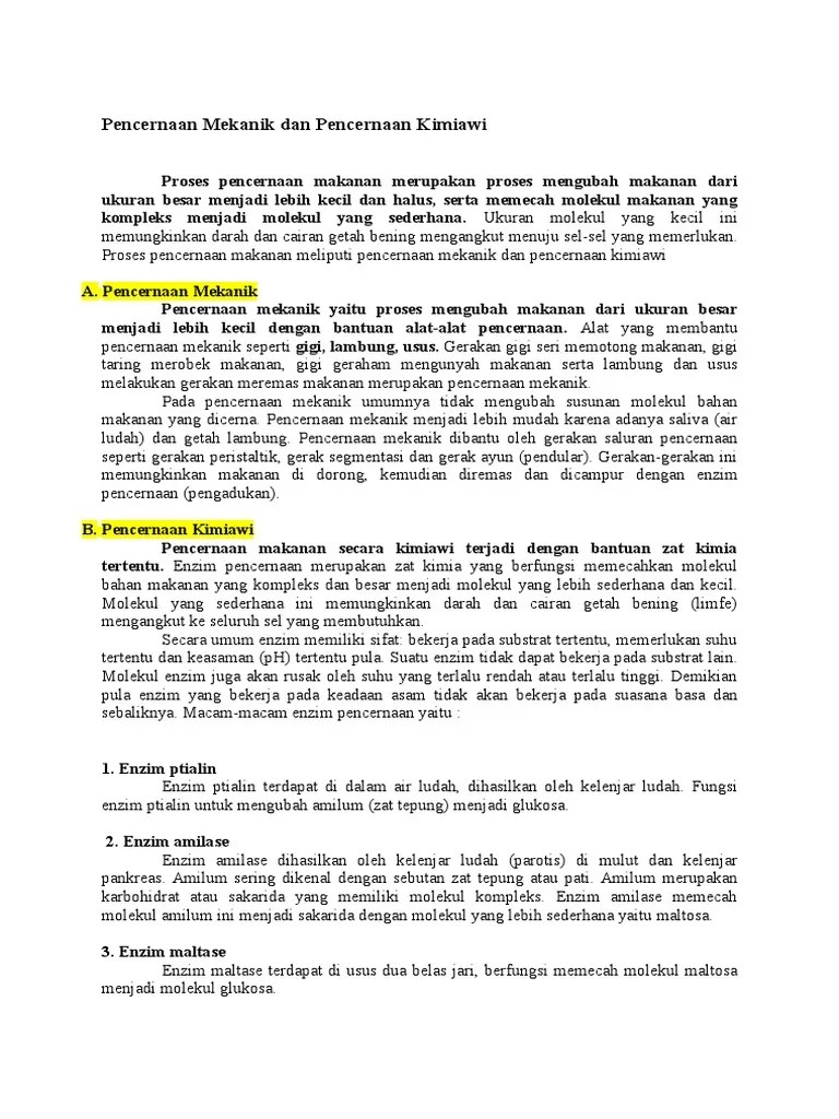 Pencernaan Mekanik Dan Pencernaan Kimiawi | PDF