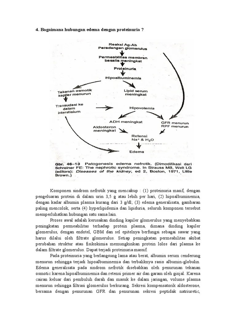 hubungan edema anasarka dengan proteinuria